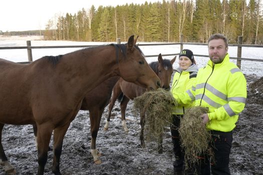 Maa ja metsä ovat totta, ja lupaus tulevasta