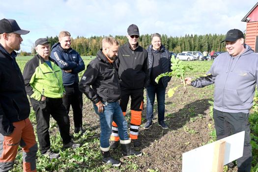 Välikasvit pellon kasvukunnon parantajina kiinnostivat