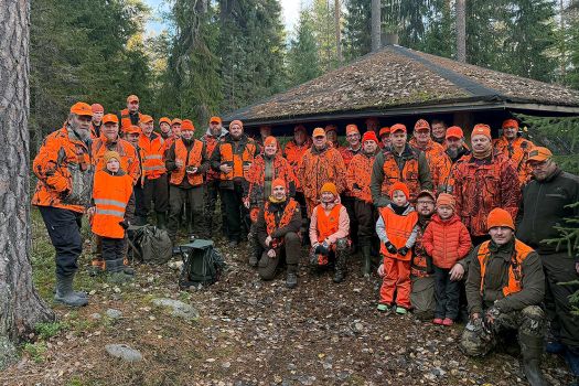 Haukan hirvijahti ohi kolmessa päivässä Haukan hirvijahti ohi kolmessa päivässä