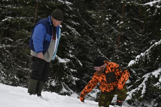 Suurpetoja laskettiin kuuden kunnan alueella